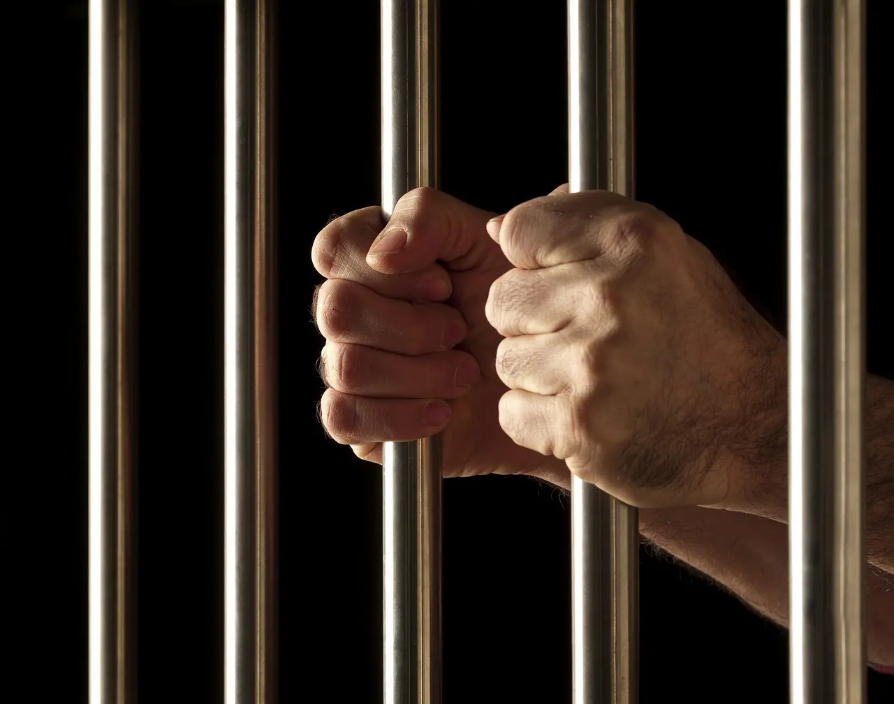 criminal defense attorney

